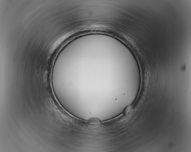 X0000115521066200911271318