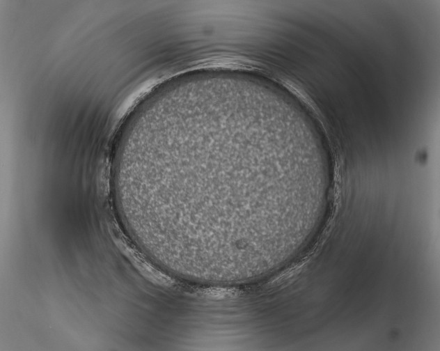 X0000115521067200911271318