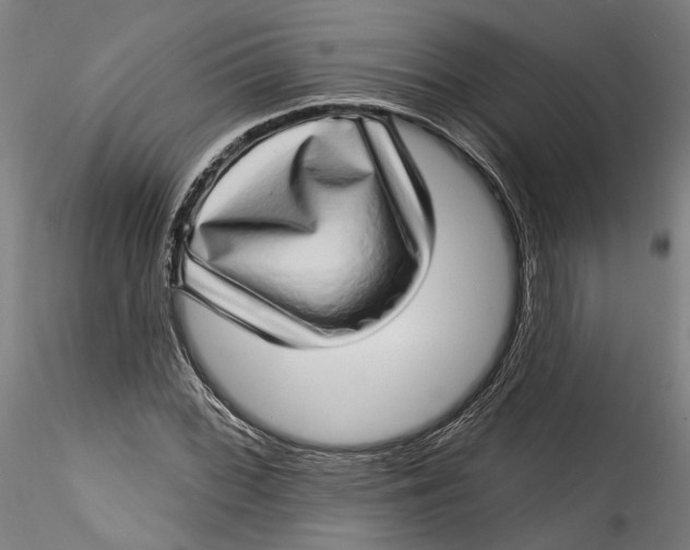 X0000115521068200911271318