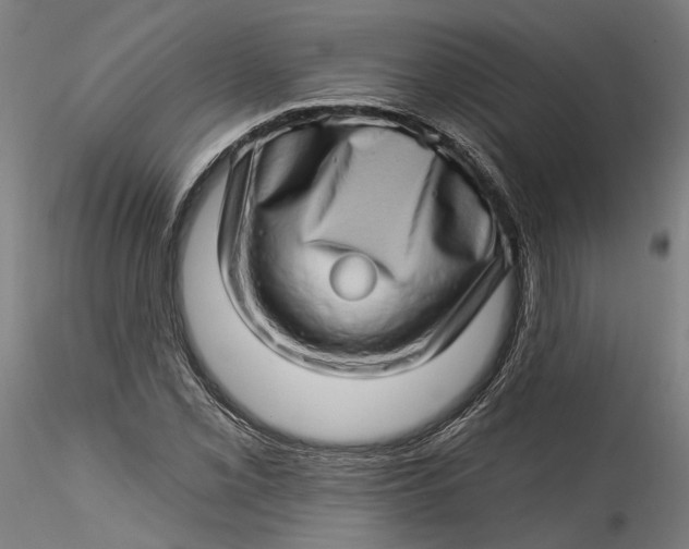 X0000115521069200911271318