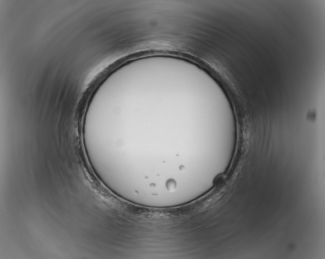 X0000115521070200911271318