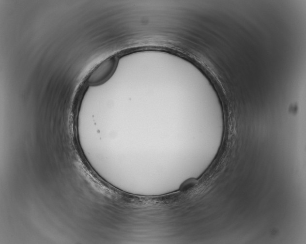 X0000115521072200911271318