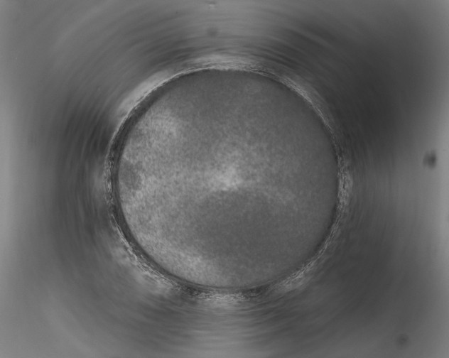 X0000115521074200911271318