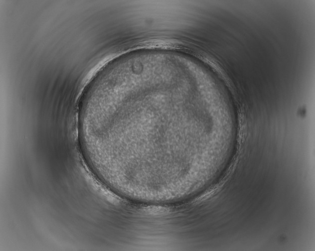 X0000115521075200911271318