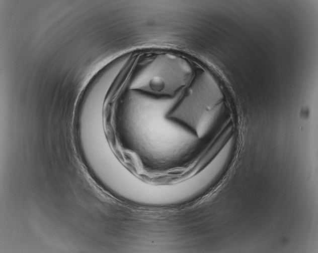 X0000115521077200911271317