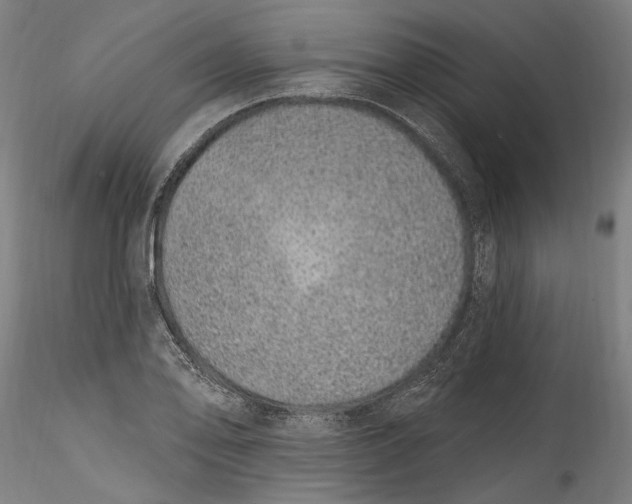 X0000115521078200911271317