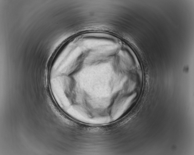 X0000115521079200911271317