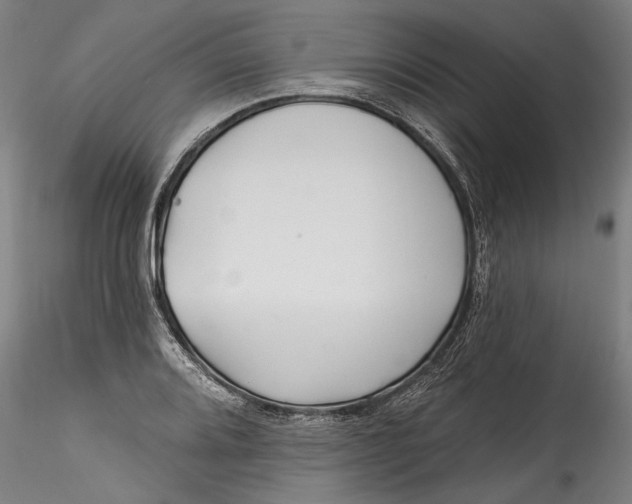 X0000115521080200911271317