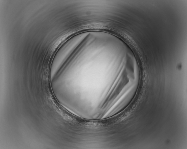 X0000115521081200911271317