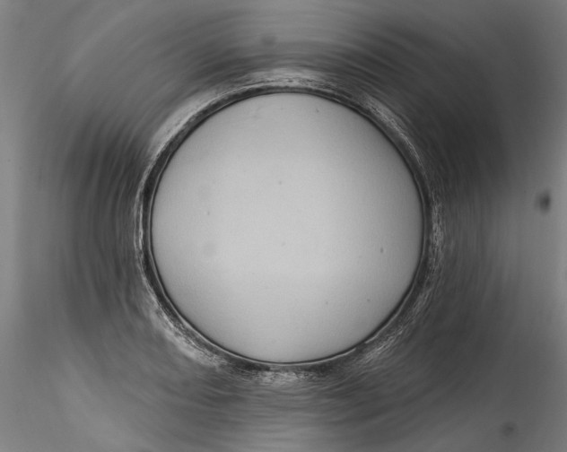 X0000115521082200911271317