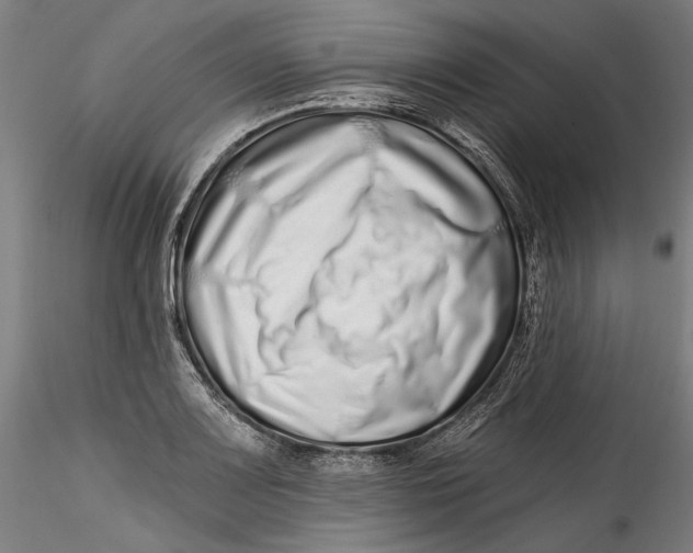 X0000115521083200911271317