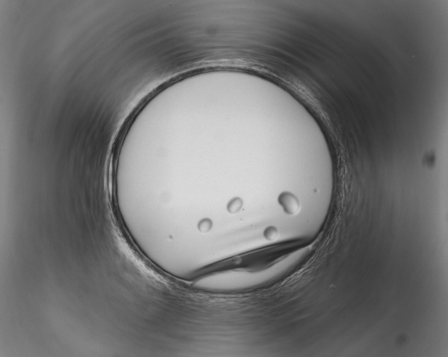 X0000115521084200911271317