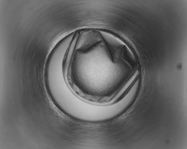 X0000115521085200911271317