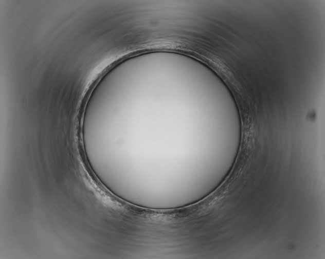 X0000115521086200911271317