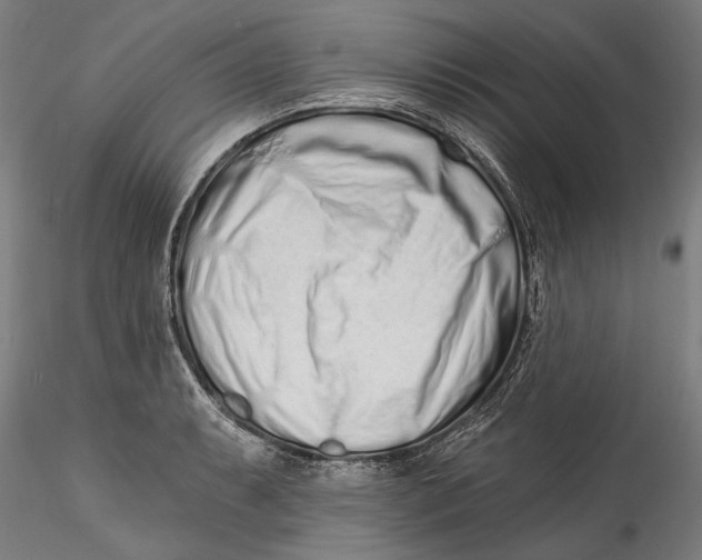 X0000115521087200911271317