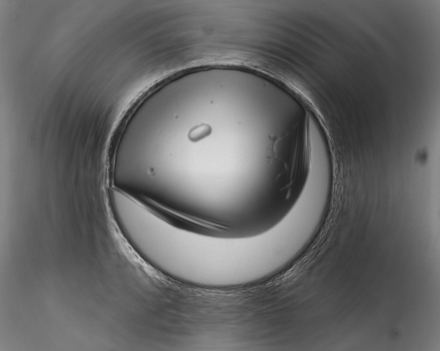 X0000115521088200911271317