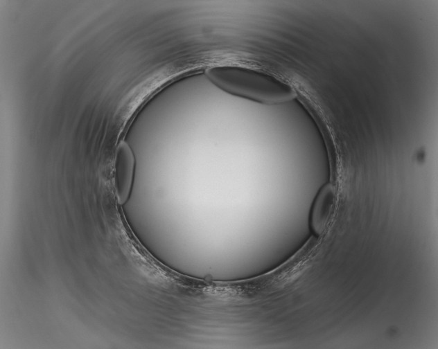 X0000115521089200911271317