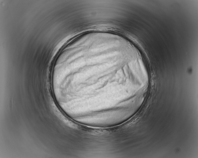 X0000115521091200911271317