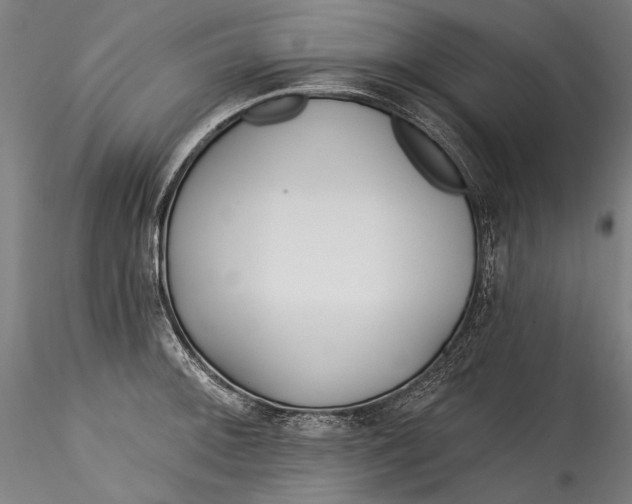 X0000115521092200911271317