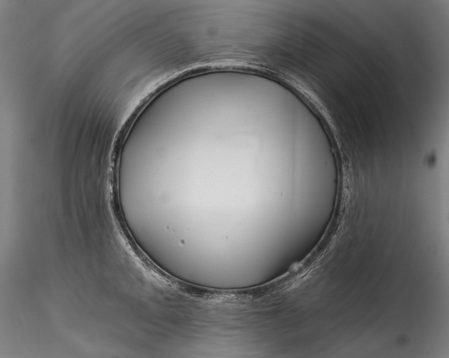 X0000115521093200911271317