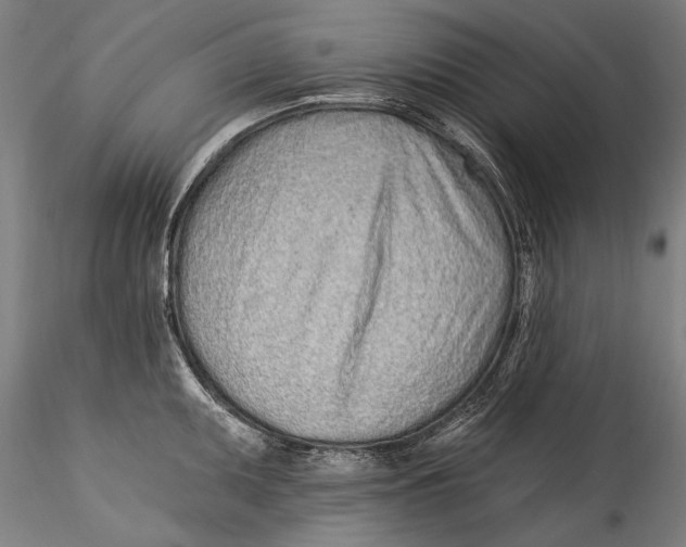 X0000115521095200911271317