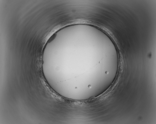 X0000115521097200911271317