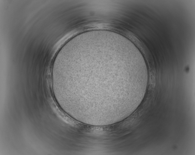 X0000115521098200911271317