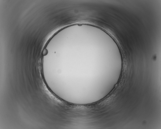 X0000115521100200911271317