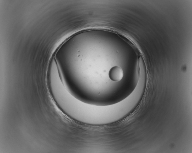 X0000115521101200911271317