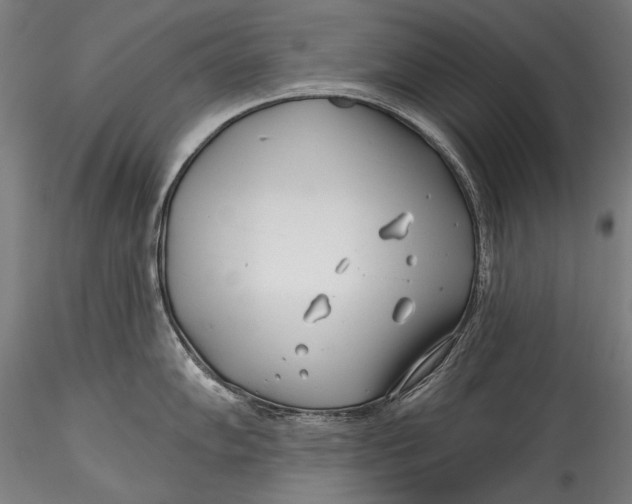 X0000115521102200911271317