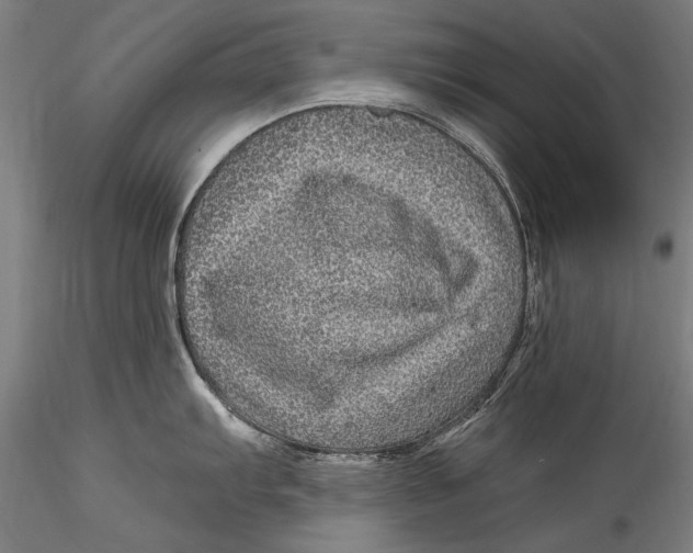 X0000115521103200911271317