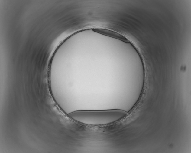 X0000115521104200911271317