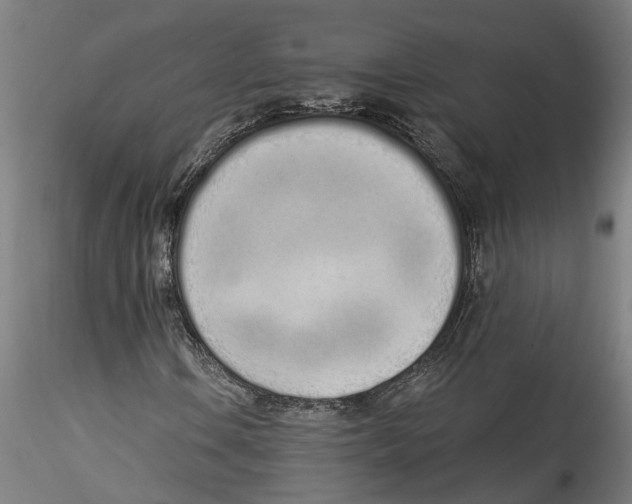 X0000115521106200911271316