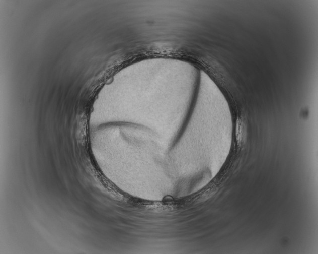 X0000115521107200911271316