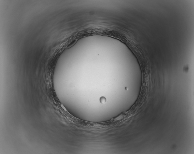 X0000115521109200911271316