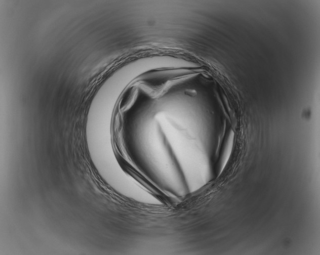 X0000115521110200911271317