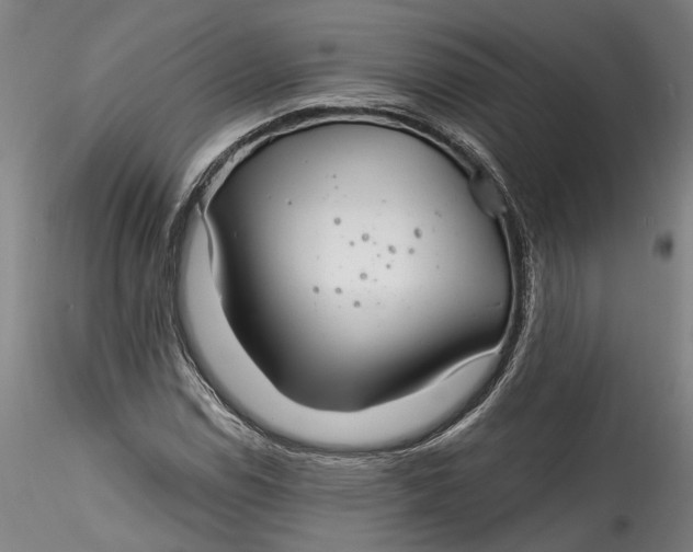 X0000115521114200911271317