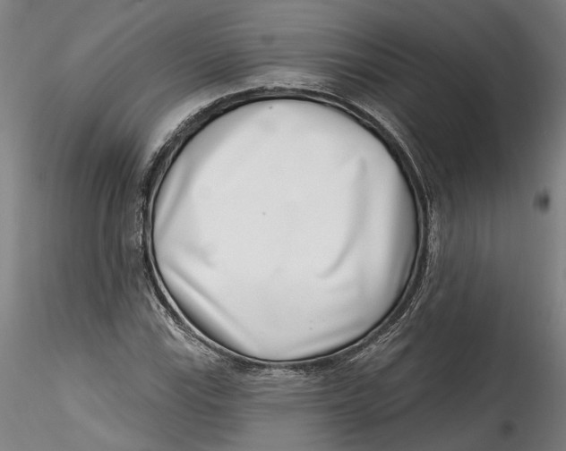 X0000115521115200911271317