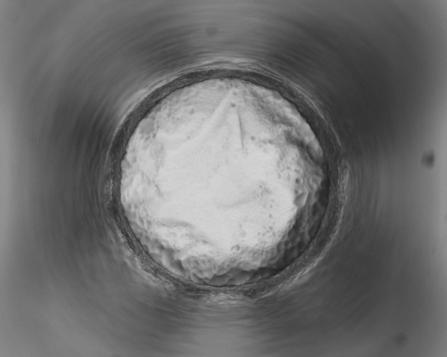 X0000115521117200911271317