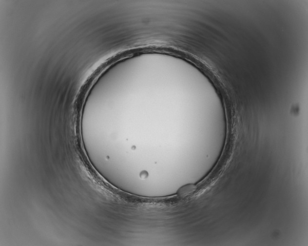 X0000115521118200911271317