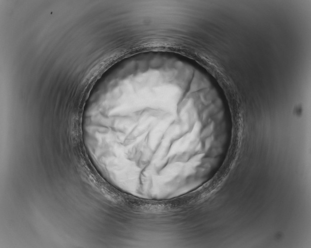 X0000115521121200911271317