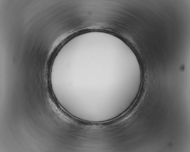 X0000115521122200911271317