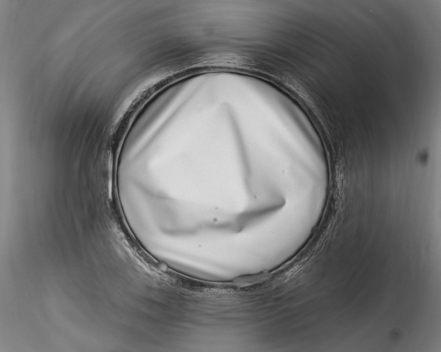 X0000115521123200911271317