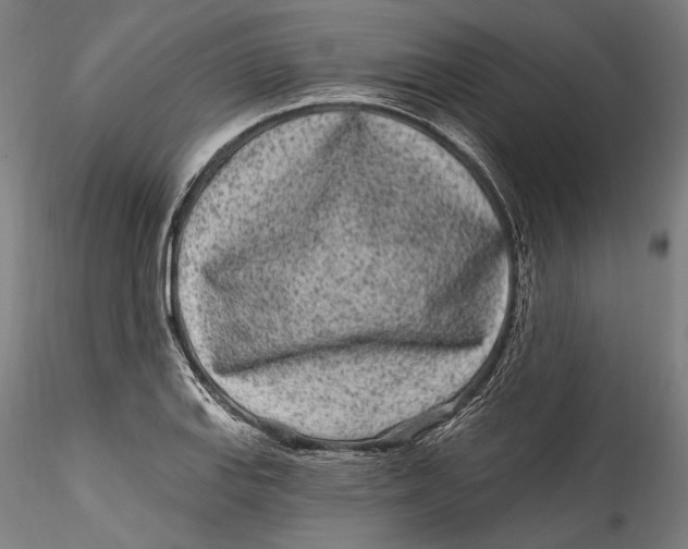 X0000115521127200911271317