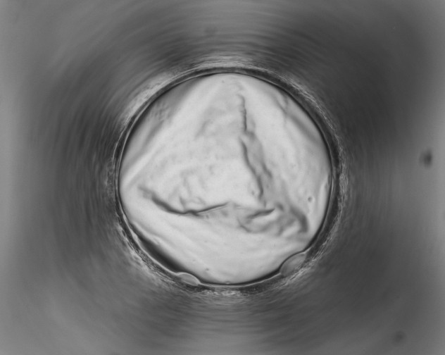 X0000115521129200911271317