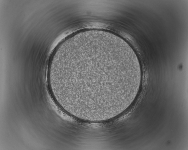 X0000115521130200911271317