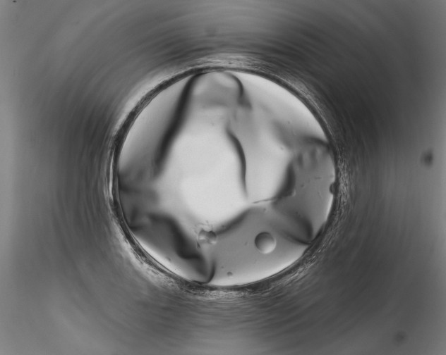 X0000115521131200911271317