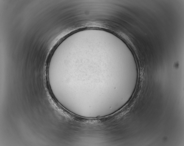 X0000115521133200911271317