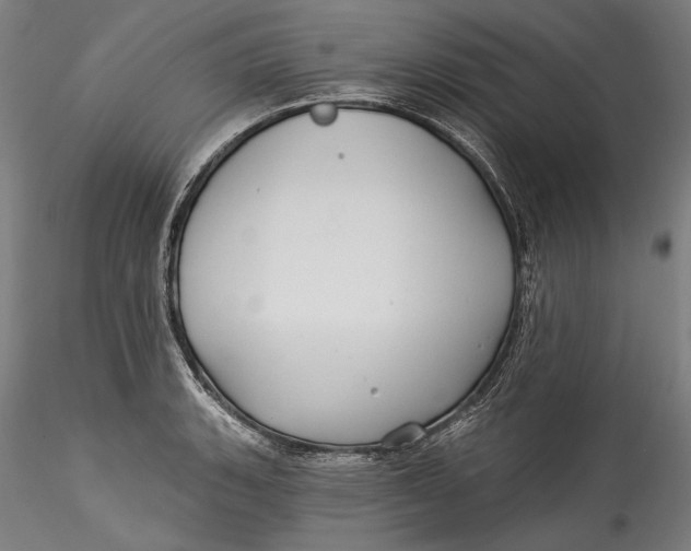 X0000115521135200911271317