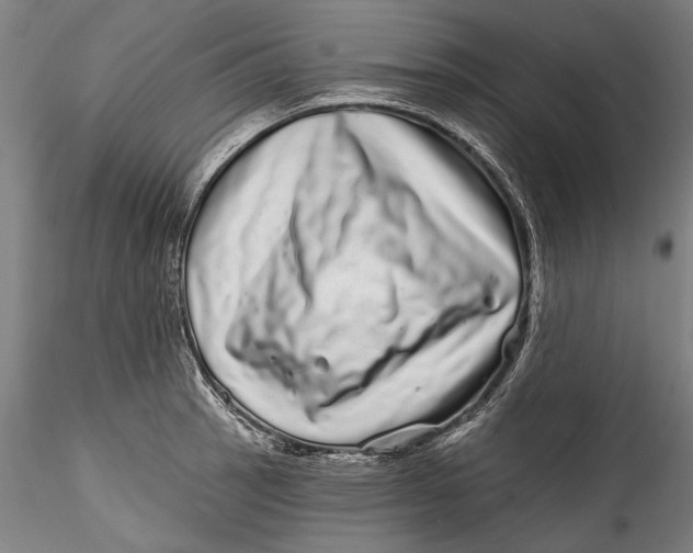 X0000115521137200911271317